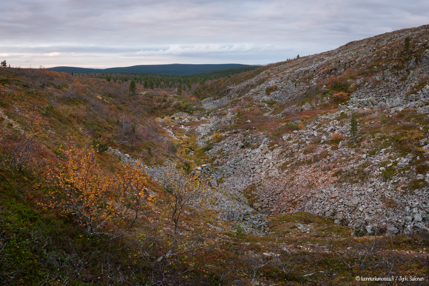 Syksyinen Pääsiäiskuru