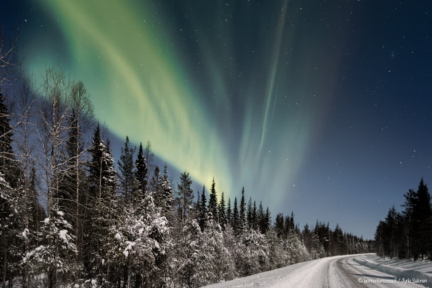 Revontulirävellyksen uusi oppimäärä