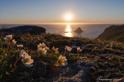 Suuntana Vesterålen, osa 1 - Andøya