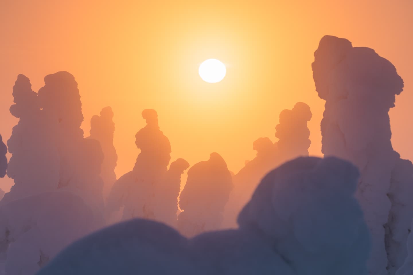 Auringonlasku lumisten puitten pehmeiden muotojen keskellä talvimaisemassa.