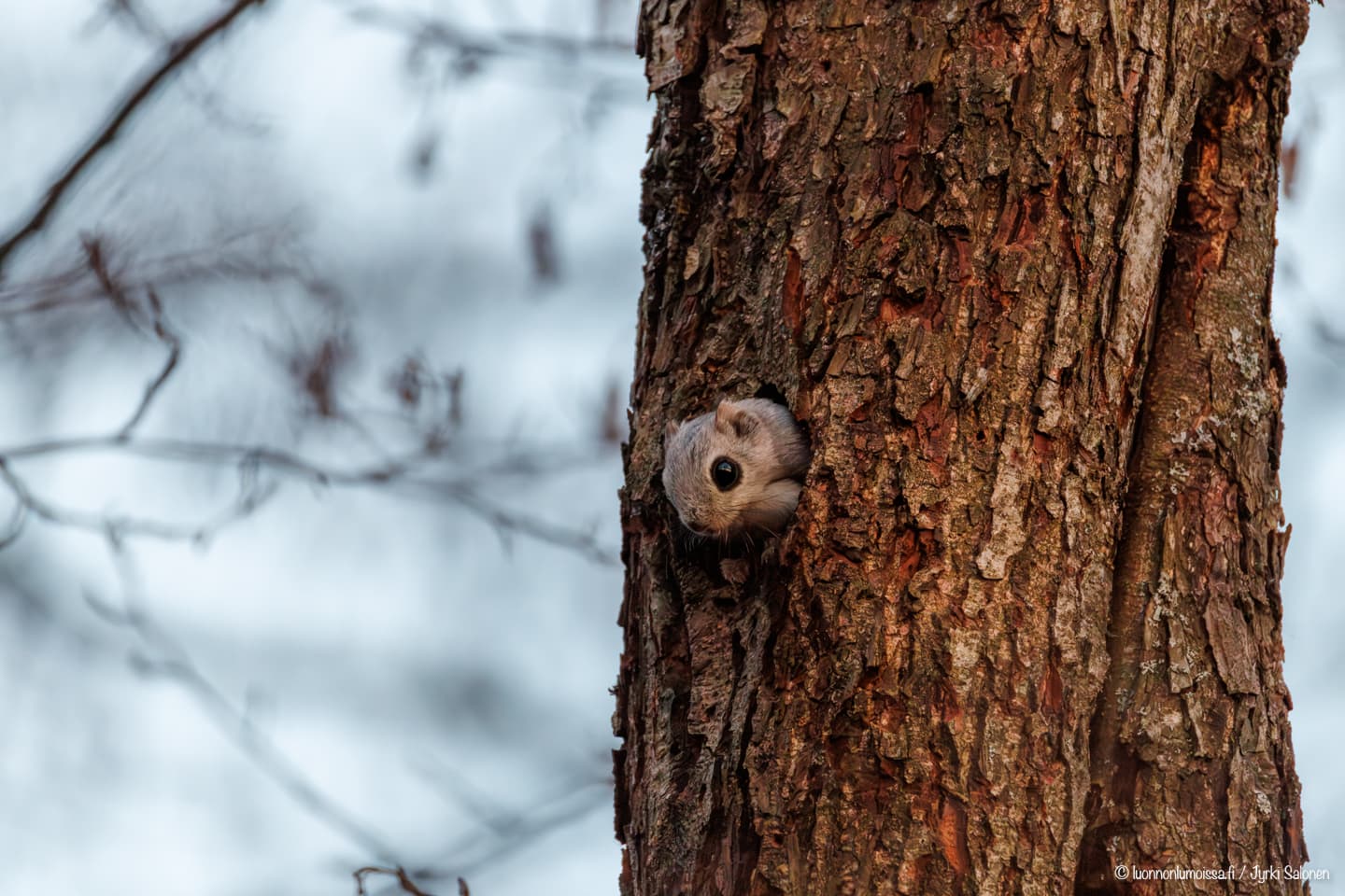 Espoo, 23.3.2025