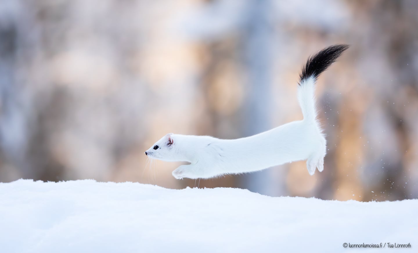 Keskivertokuvaaja hyvällä kameralla