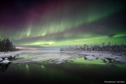 Petolliset revontulikuvat