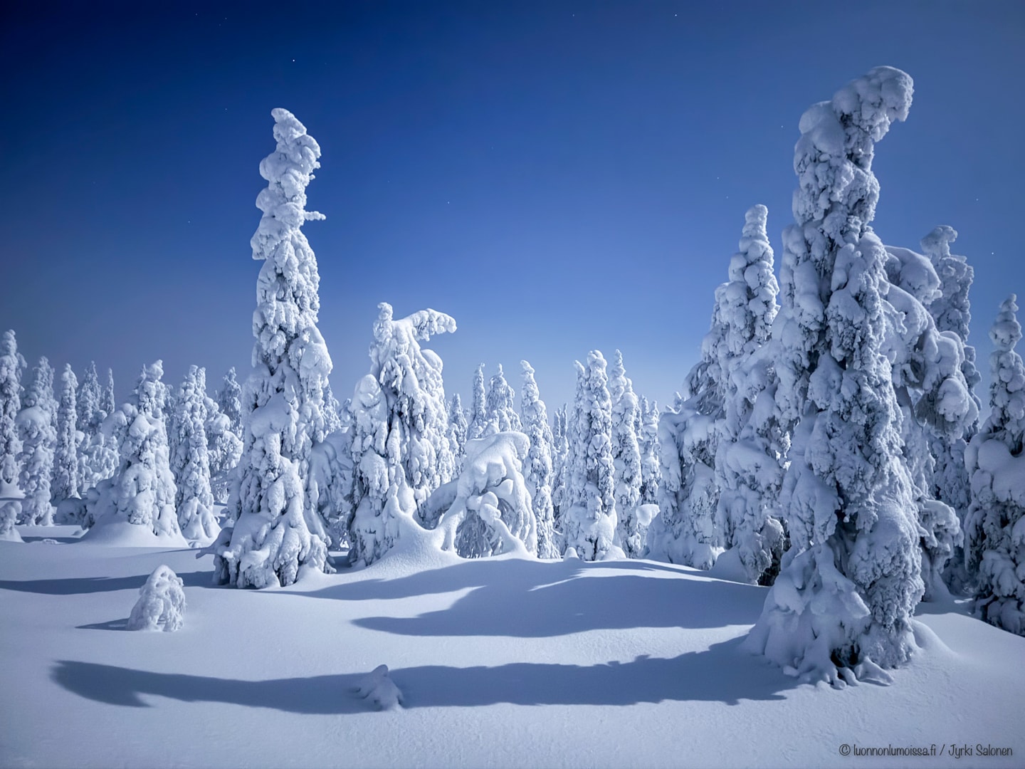 Kännykkäkameralla Kuusamossa