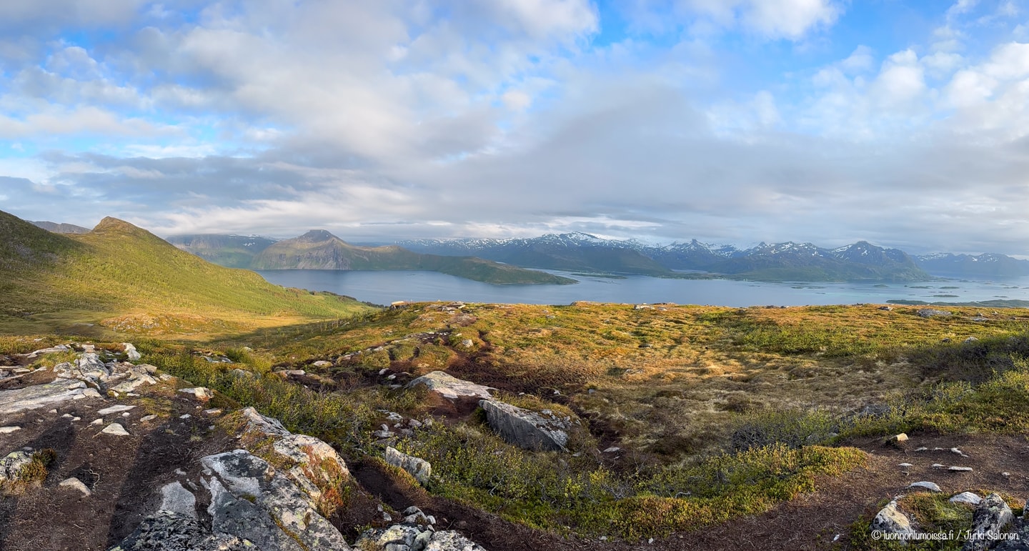 Sommardalen