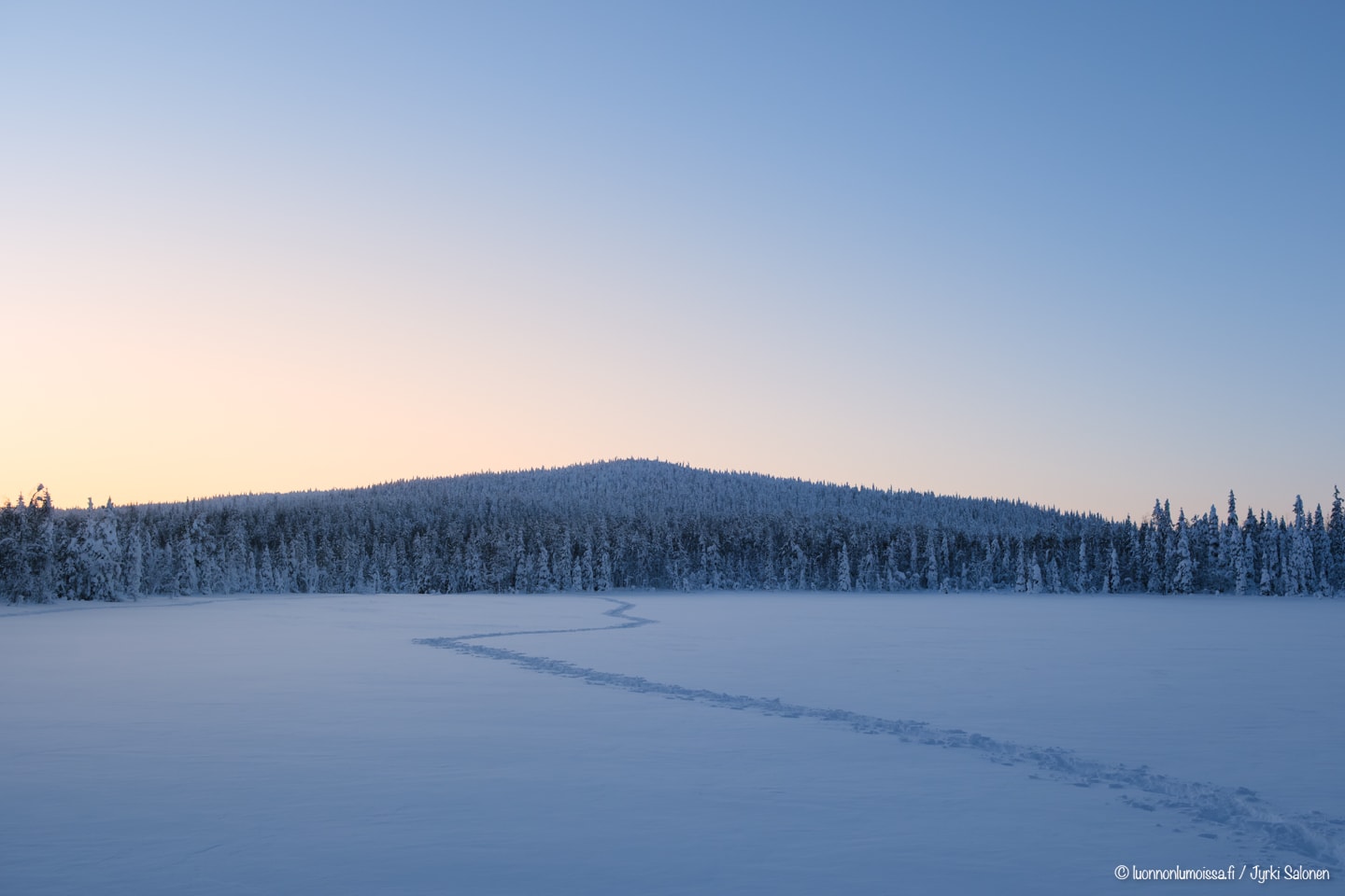 Miehille, jotka kulkevat omia polkujaan..?