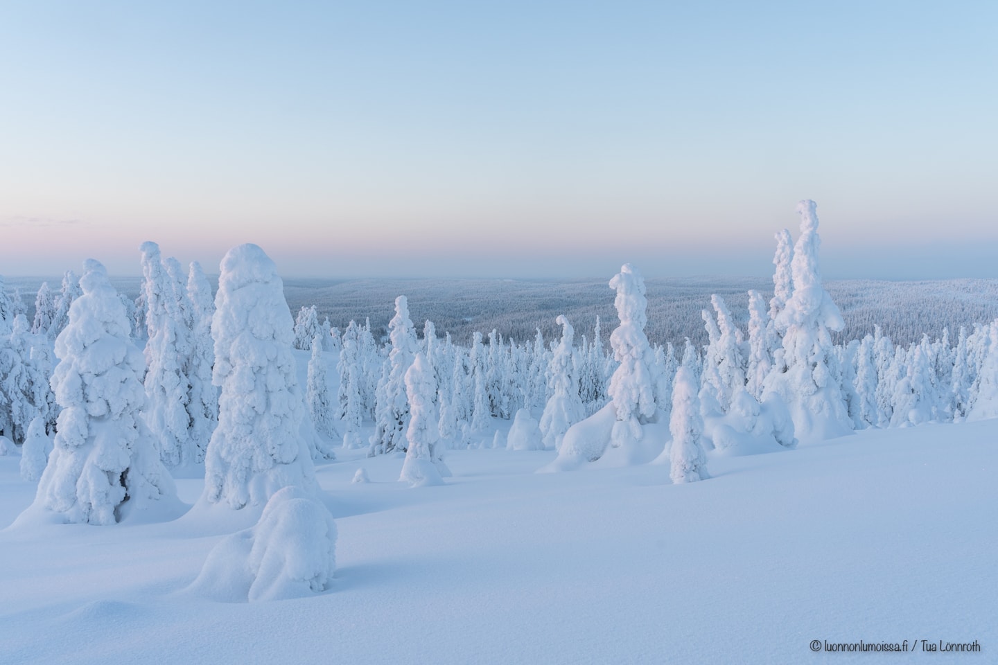 Täällä taas!