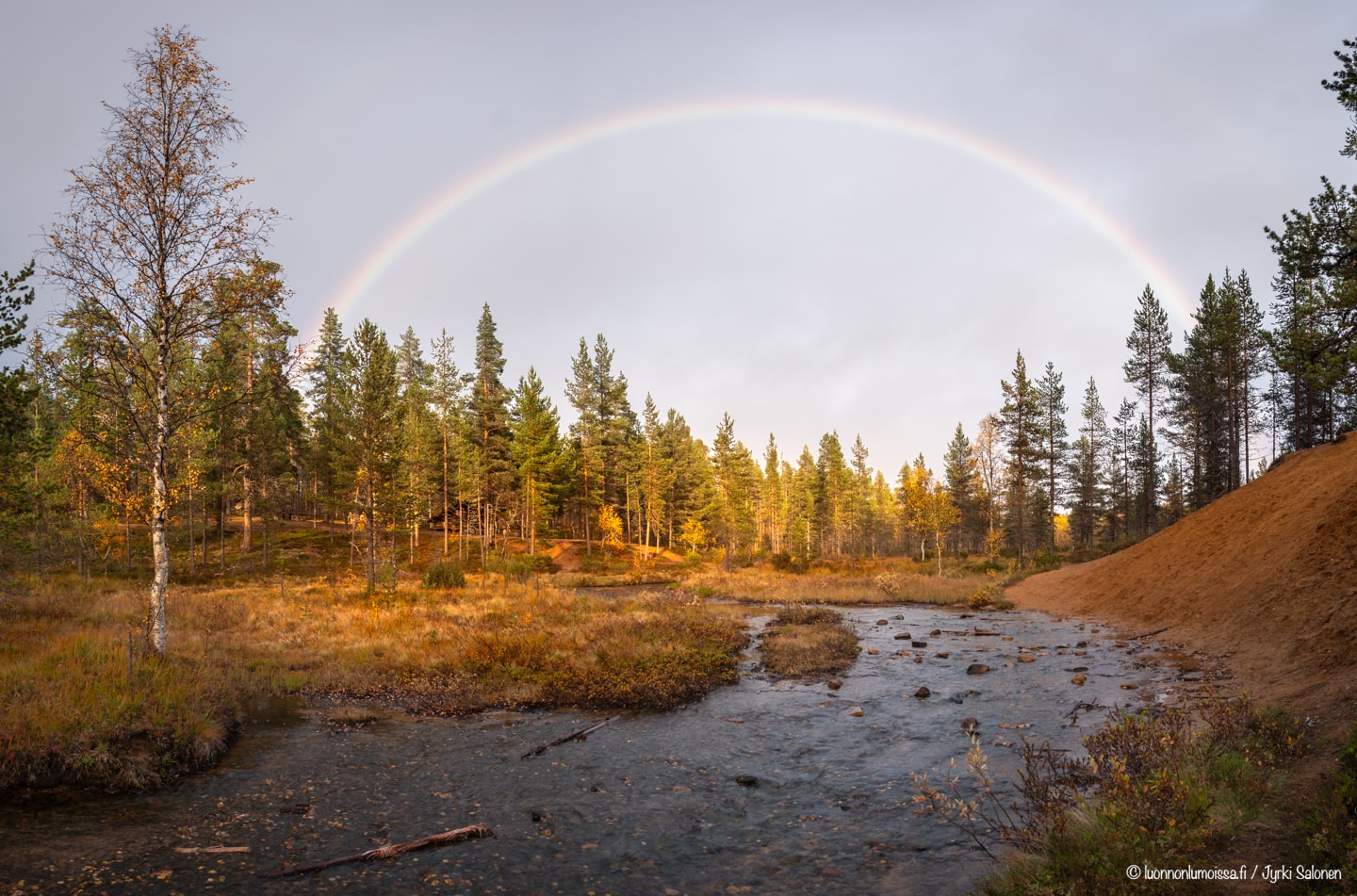 Sateenkaari tunturipuron yllä