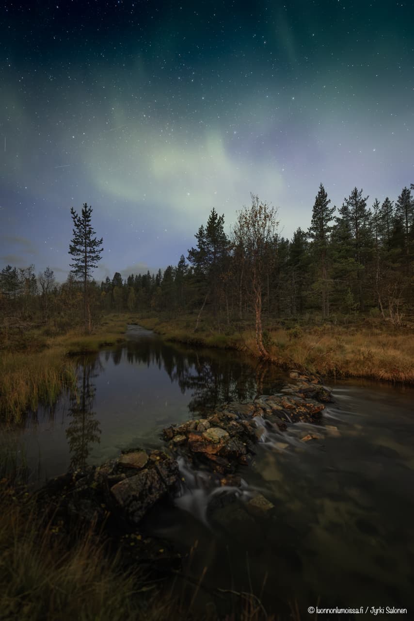 Revontulia pienen tunturipuron yllä