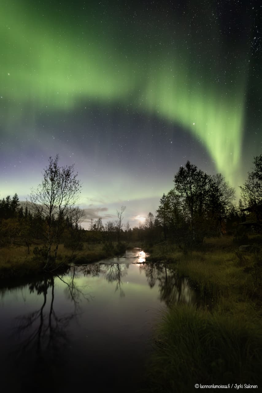 Revontulia pienen tunturipuron yllä