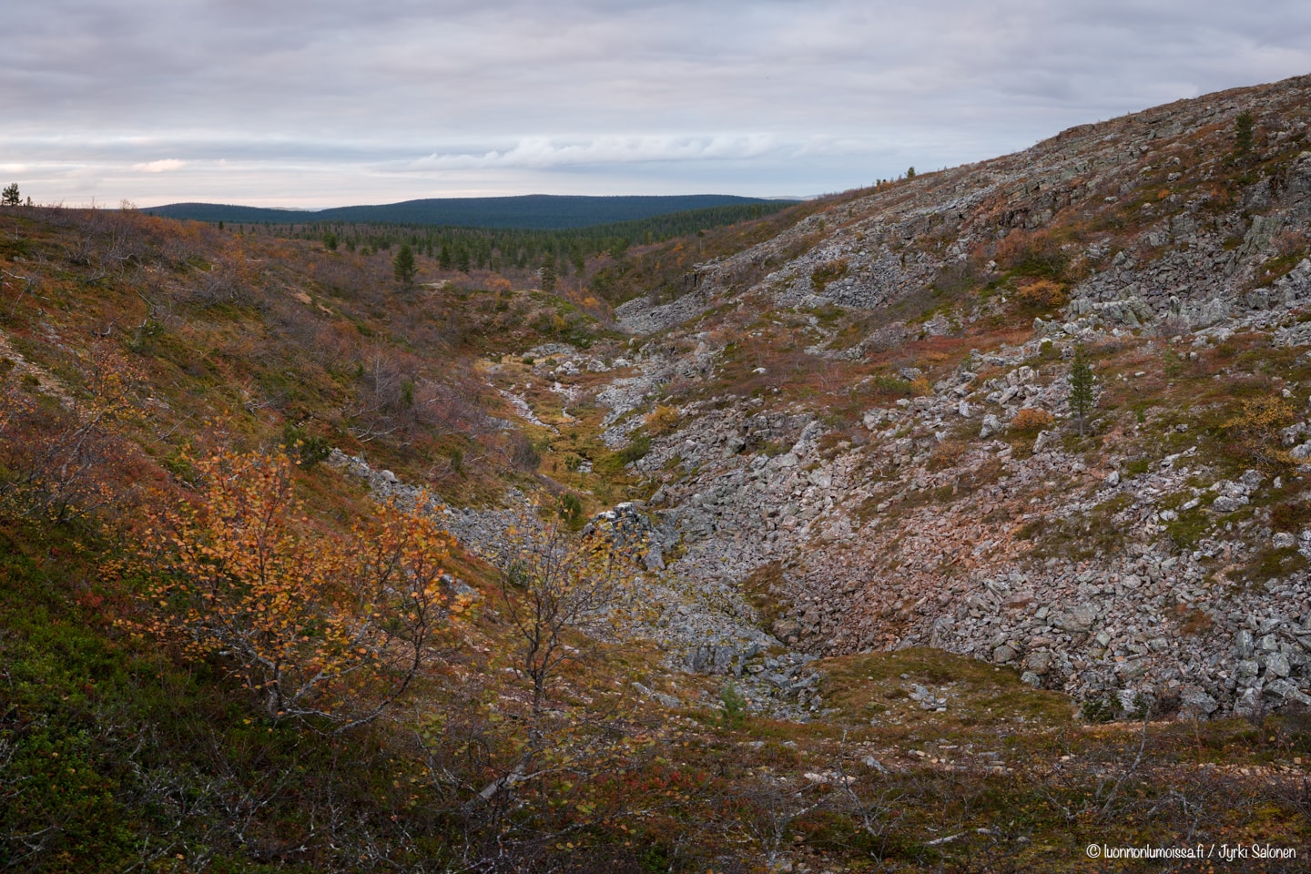 Syksyinen Pääsiäiskuru