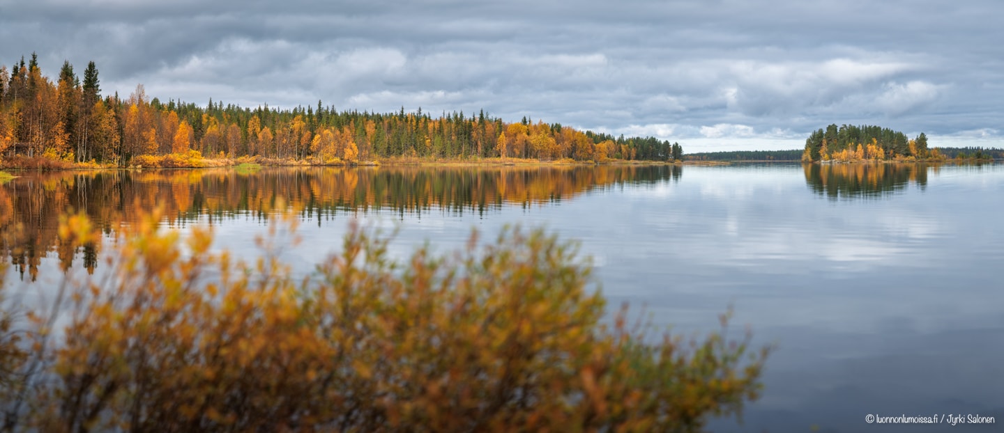 Ruskainen järvimaisema