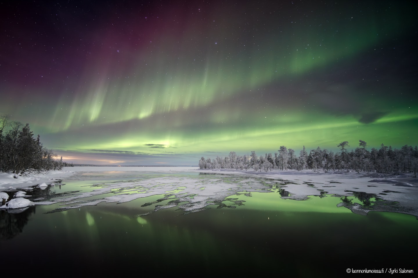 Petolliset revontulikuvat