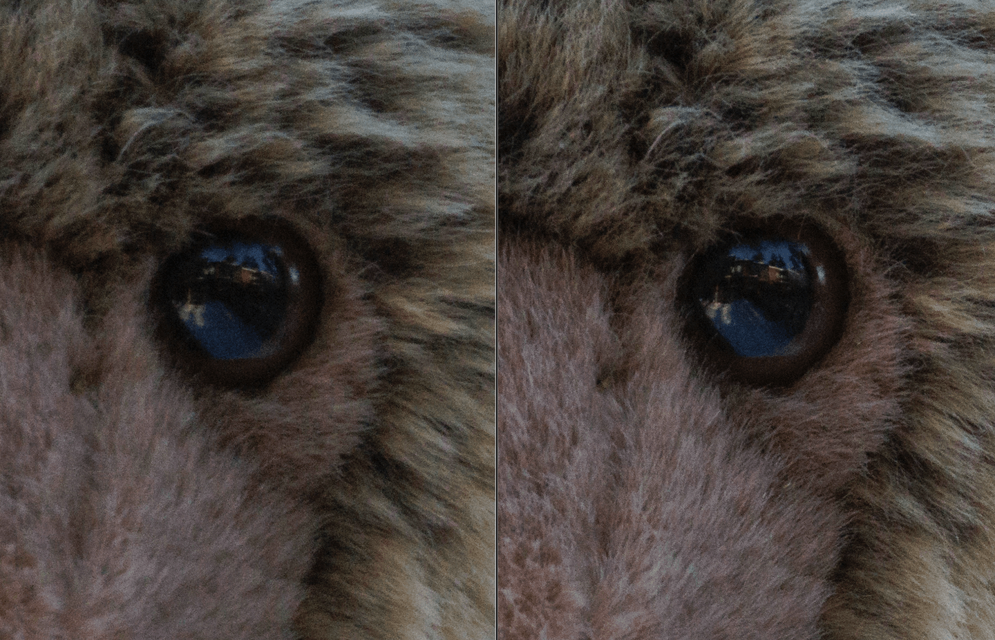 Vasen kuva otettu vastavalosuojan kanssa, oikea ilman